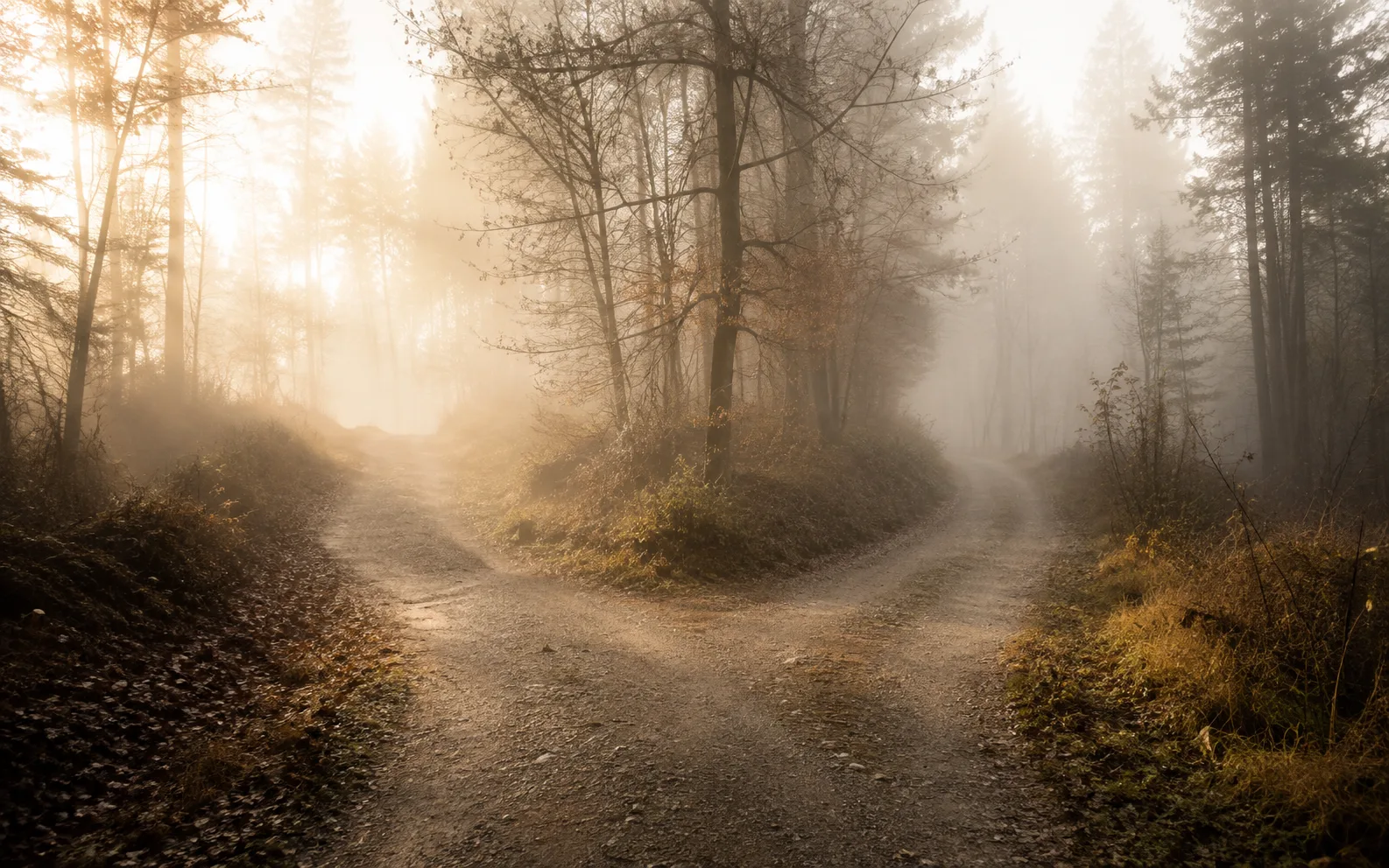 fuite ou appel de Dieu, chemin qui se divise en deux dans la brume matinale