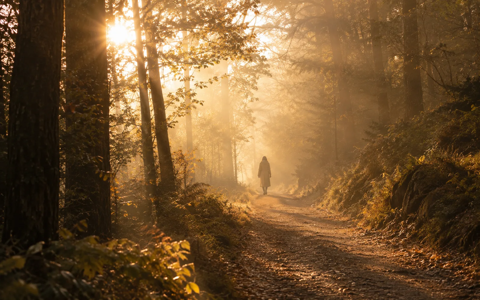 Silhouette de femme marchant seule sur un chemin forestier brumeux traversé par la lumière du matin, symbole de reconstruire sa vie après 40 ans